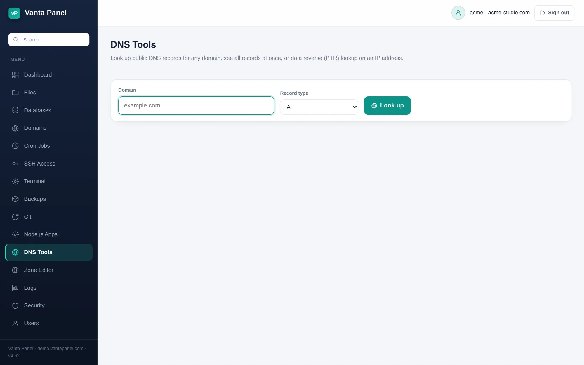 Looking up public DNS records from vPanel.