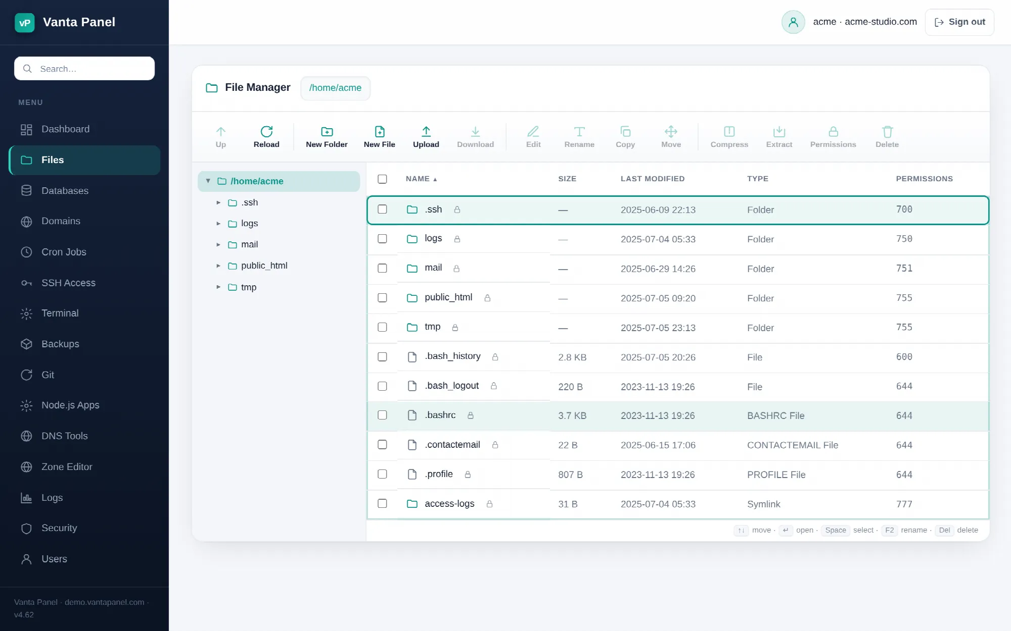 The vPanel File Manager — browse, edit, upload, compress and extract.