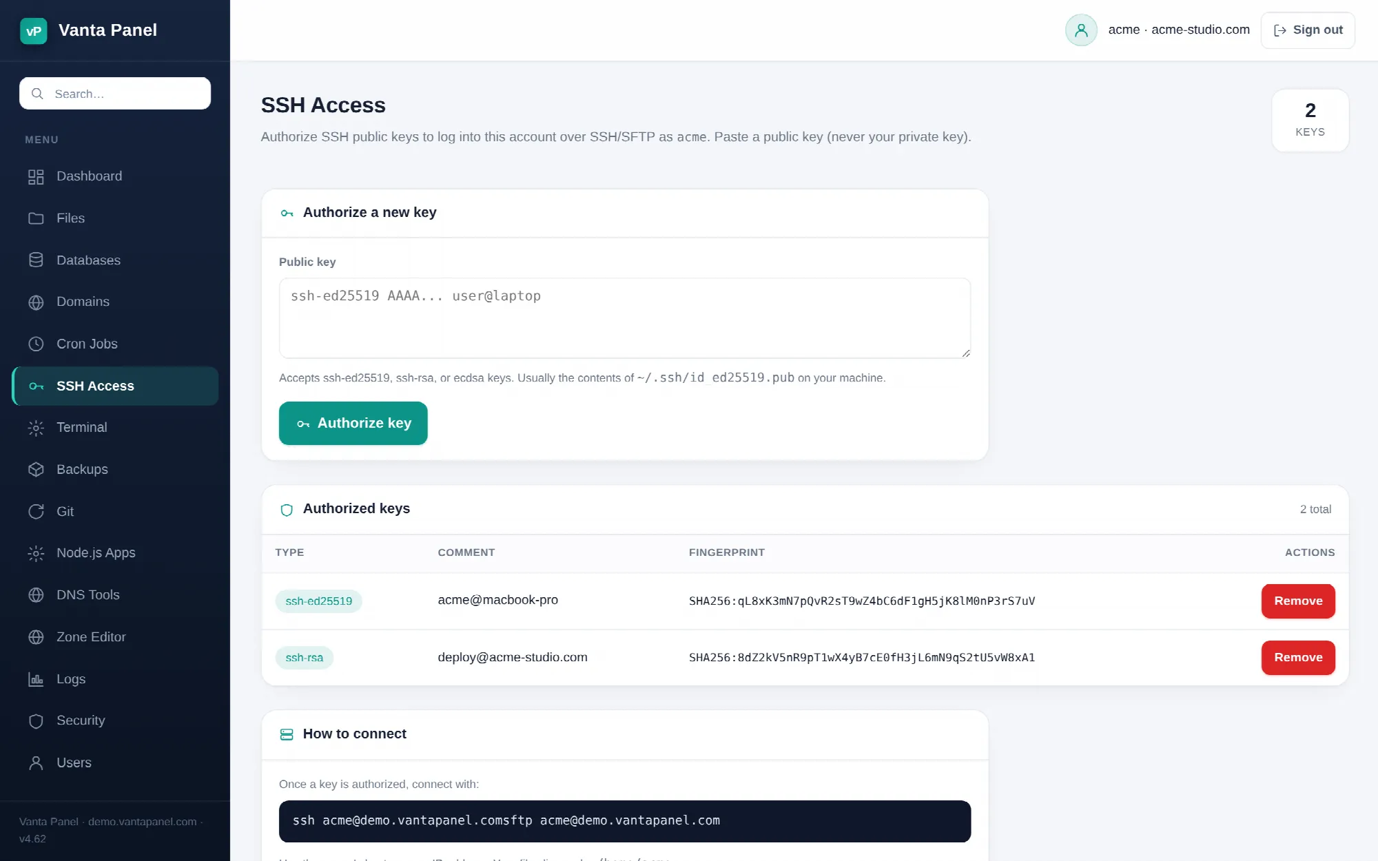 Authorizing SSH public keys in vPanel.